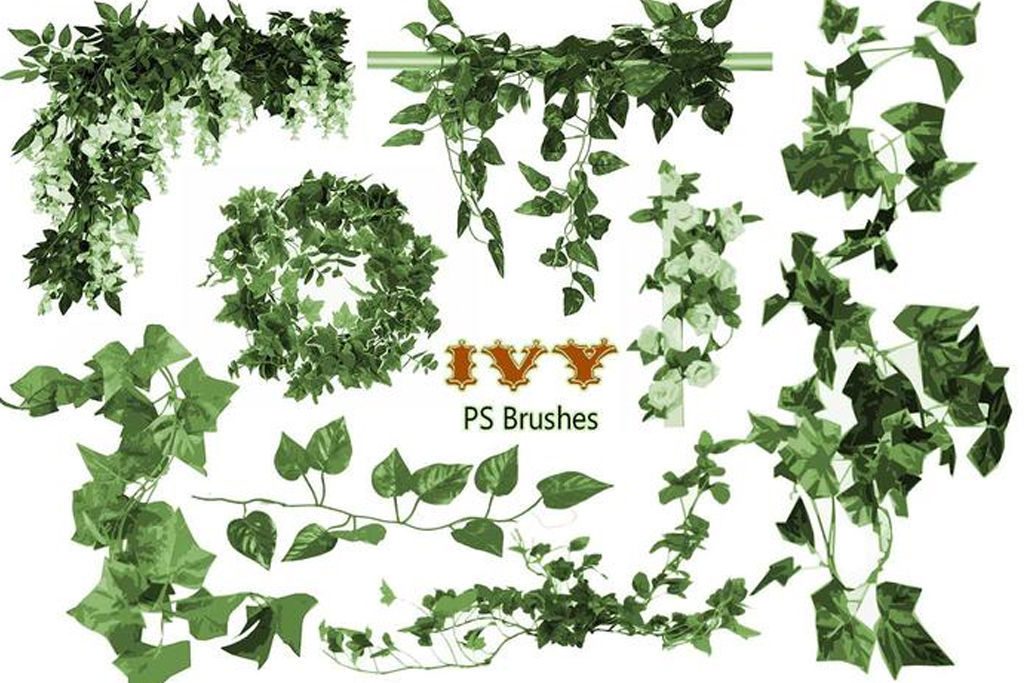 無料 商用可 草や葉っぱ ツタなどに特化したphotoshop用植物系ブラシ50種 自然 フリー 装飾 イラスト Webdesignfacts