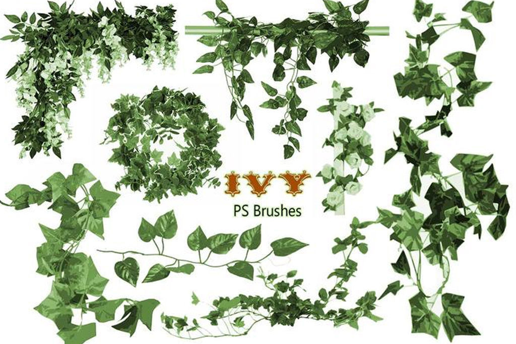 Free & commercial50 kinds of plant-based brushes for Photoshop specialized in grasses, leaves, ivy, etc. [nature / free / decoration / illustration]