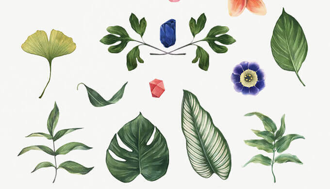 無料 商用可 35種の水彩色鉛筆風の花 草木パステルベクター画像素材 フリー 淡い リアル Webdesignfacts